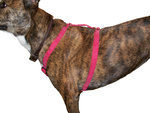 Dog Reflective Harness